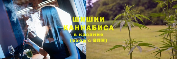 амф Белокуриха